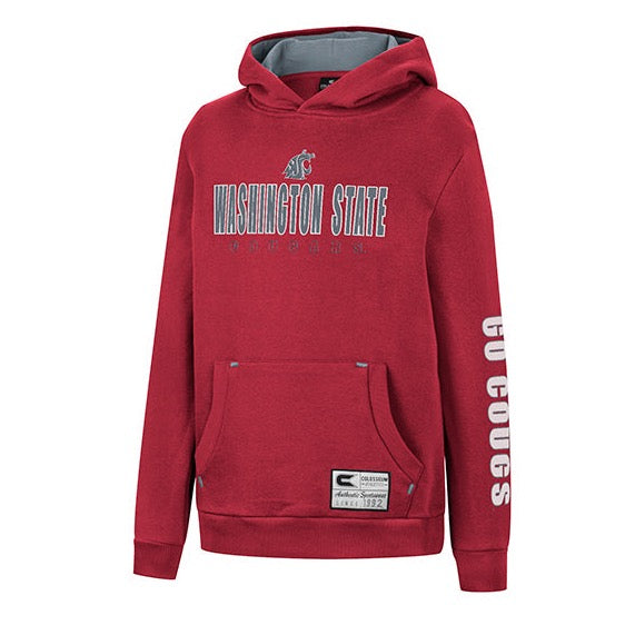 Youth Washington State Cougars Hoodie Cougarwear