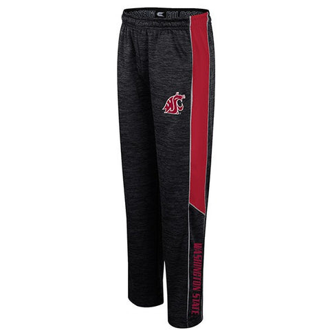 Colosseum Youth Grey Polyester Sweats with Washington State on Leg