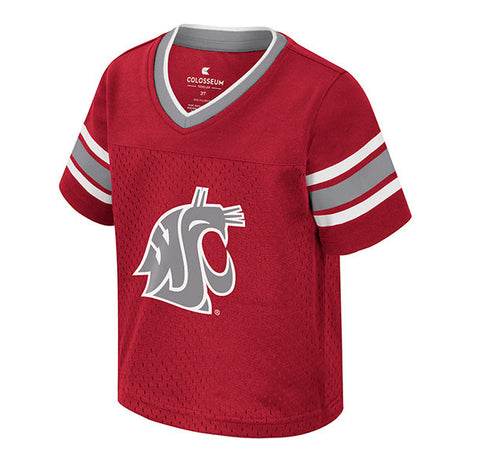 Colosseum Washington State University Toddlers All Day Football Jersey