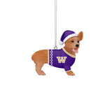 Foco University of Washington Corgi Ornament