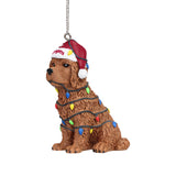 Foco Washington State Dog with Lights Wrapped Around