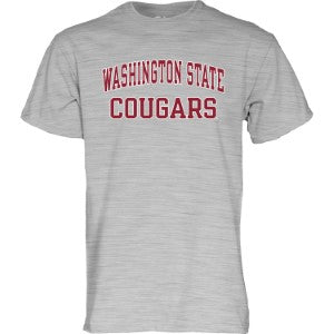 Washington State Men's Arched Team T-Shirt