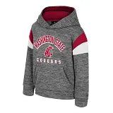 Colosseum Washington State Toddler Wizard City Hoodie