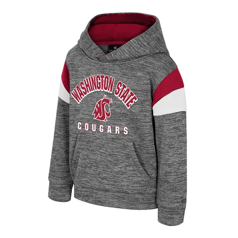Colosseum Washington State Toddler Wizard City Hoodie
