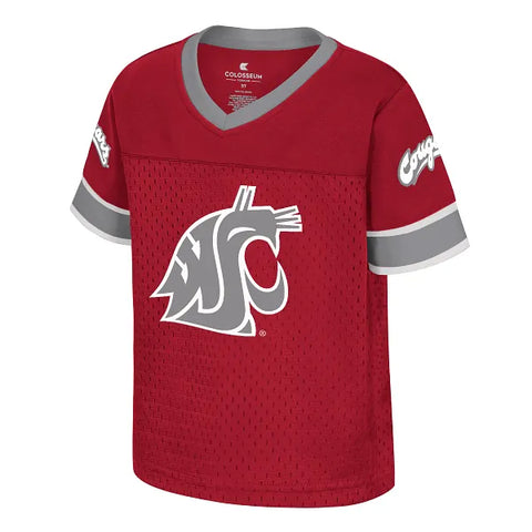 Colosseum Washington State Toddler Nothing but the Hits Football Jersey