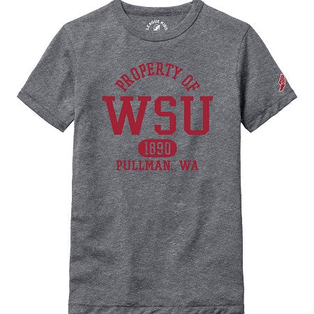 League Washington State Youth Victory Falls Tee