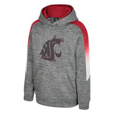 Colosseum Washington State Youth The Gang Gray Hoodie
