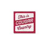 Washington State 3x3 "This is Cougar Country" Wood Magnet