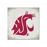 Washington State White Canvas With Red Cougar Logo 9x9