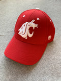 Classic Crimson Hat With White Coug Logo