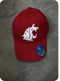 Classic Crimson Cougar Embroidered Fitted Hat