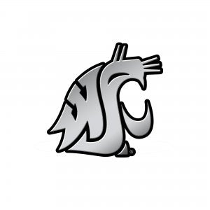 On sale Washington State University Cougars Solid Metal Auto Emblem Antique Nickel for Car/Truck/SUV